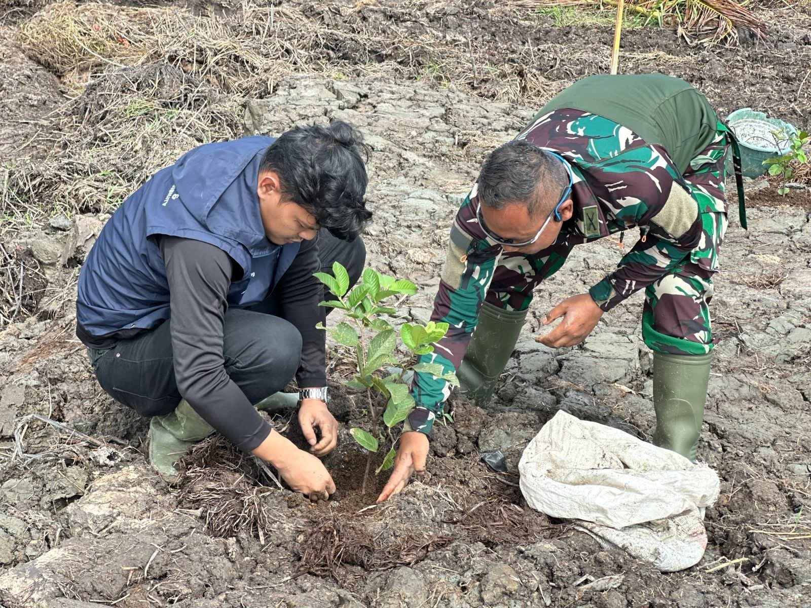 Dukung TMMD, PT. BAI Tanam Jambu Kristal di Lahan Demplot Sungai Purun Kecil
