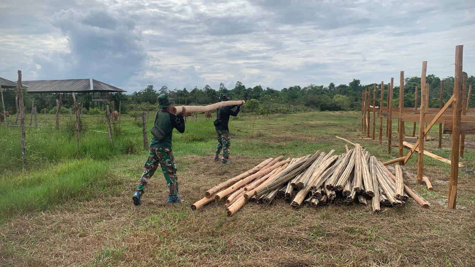 TMMD Kodim 1012/Buntok Bantu Pengangkutan Material Kandang Ayam Potong untuk Ketahanan Pangan