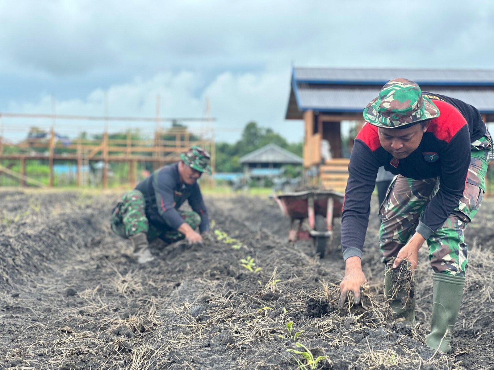 Satgas TMMD Kodim 1012/Buntok Bersihkan Rumput di Lokasi Ketahanan Pangan
