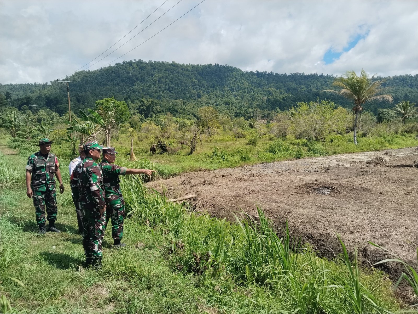 TMMD ke-125 Kodim 1705/Nabire Fokus Kembangkan Ketahanan Pangan, Lahan Tidur di Kampung Legari Jaya Disiapkan